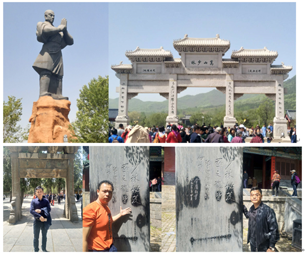 商界精英EMBA贏利智慧系統班學員奔赴洛陽考察旅游