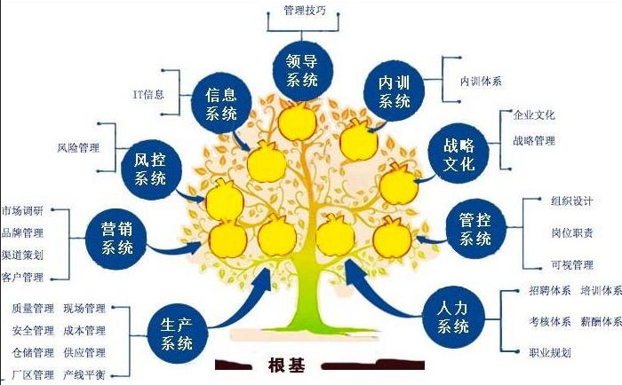 什么是中國企業(yè)高層最需要的企業(yè)管理培訓(xùn)