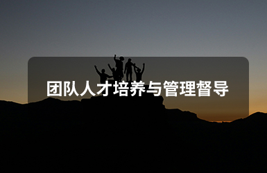 團隊人才培養與管理督導